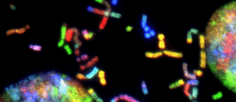 Biomarkers